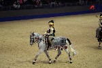 Quadrille - 00732
